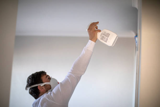 Best Attic Mold Removal  in Vcennes, IN