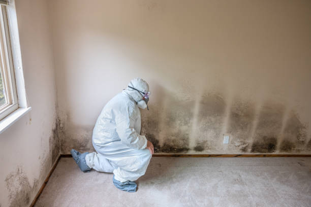 Water Damage Restoration in Vincennes, IN